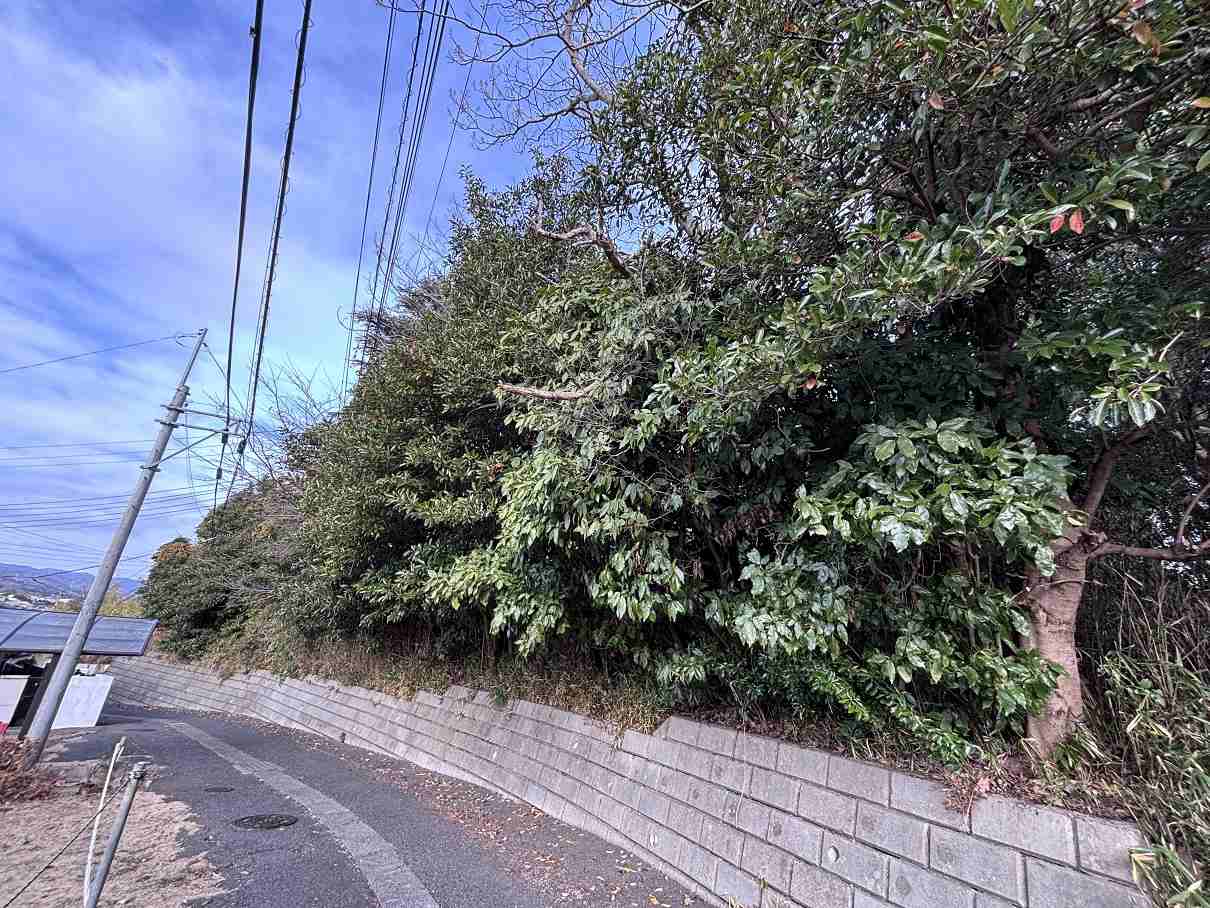 ��븩��Ω�Կ���Į 1,000����